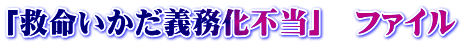 「救命いかだ義務化不当」　ファイル